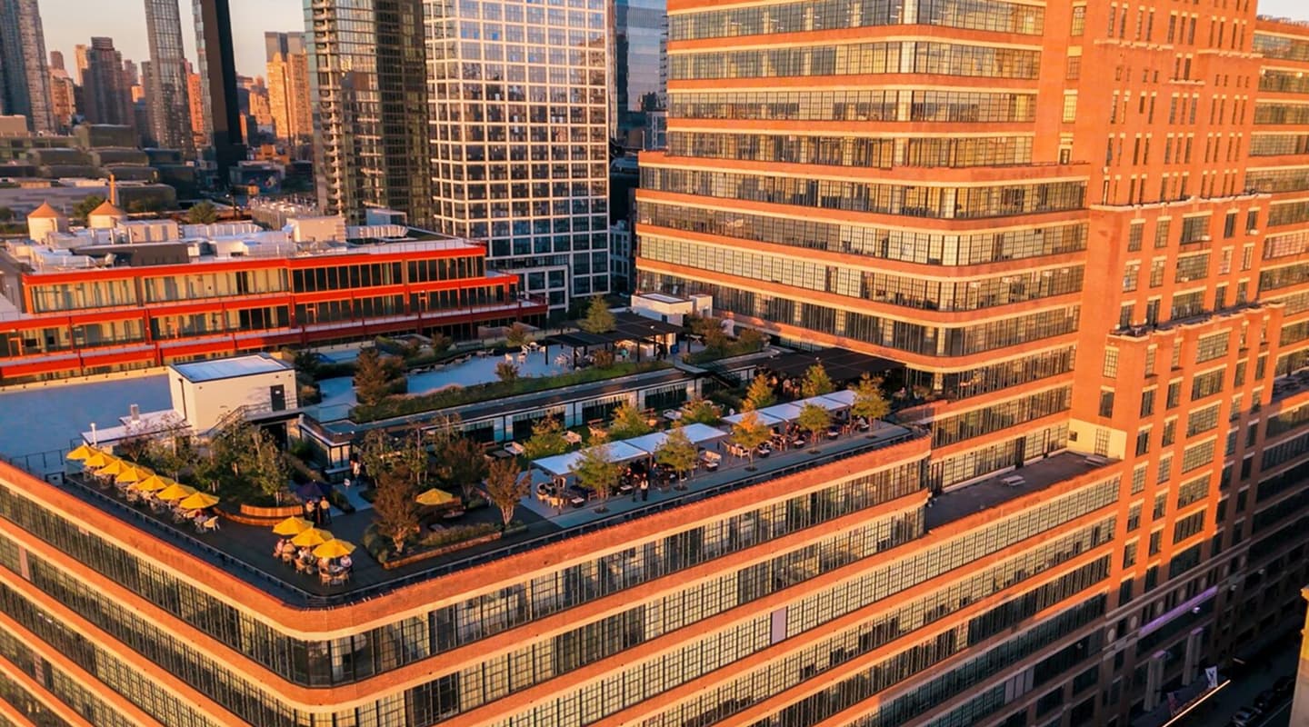 Rooftop garden with umbrellas, seating, and greenery atop a city building at sunset, surrounded by modern urban architecture.